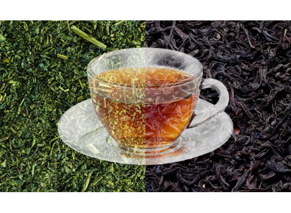  Vert ou noir, quelles différences ?